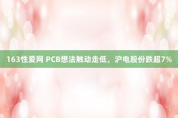 163性爱网 PCB想法触动走低，沪电股份跌超7%