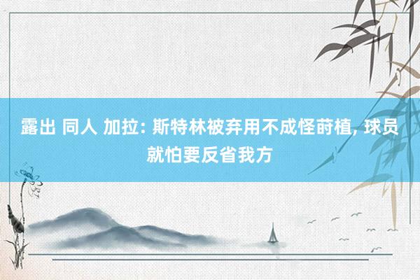 露出 同人 加拉: 斯特林被弃用不成怪莳植， 球员就怕要反省我方