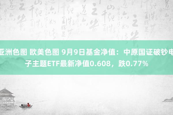 亚洲色图 欧美色图 9月9日基金净值：中原国证破钞电子主题ETF最新净值0.608，跌0.77%