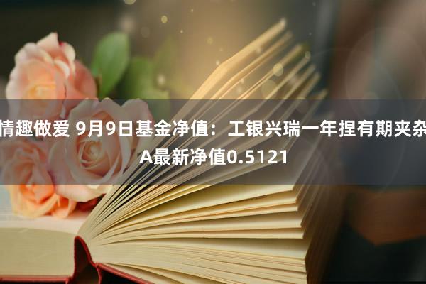 情趣做爱 9月9日基金净值：工银兴瑞一年捏有期夹杂A最新净值0.5121