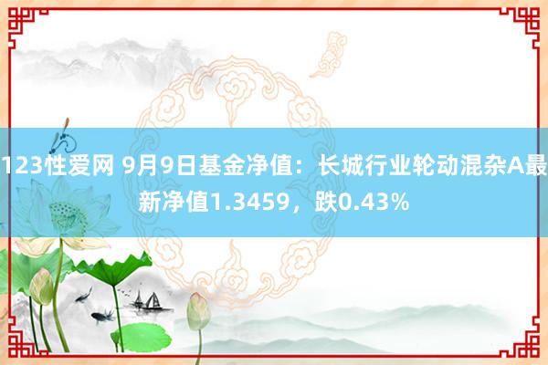 123性爱网 9月9日基金净值：长城行业轮动混杂A最新净值1.3459，跌0.43%