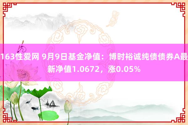 163性爱网 9月9日基金净值：博时裕诚纯债债券A最新净值1.0672，涨0.05%