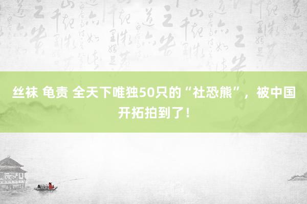 丝袜 龟责 全天下唯独50只的“社恐熊”，被中国开拓拍到了！