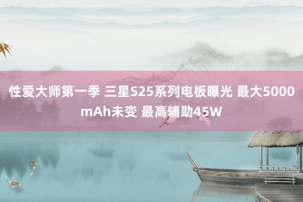 性爱大师第一季 三星S25系列电板曝光 最大5000mAh未变 最高辅助45W