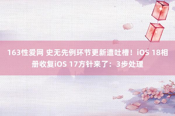 163性爱网 史无先例环节更新遭吐槽！iOS 18相册收复iOS 17方针来了：