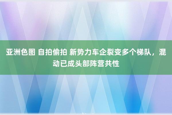 亚洲色图 自拍偷拍 新势力车企裂变多个梯队，混动已成头部阵营共性