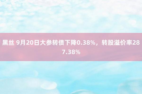 黑丝 9月20日大参转债下降0.38%，转股溢价率287.38%