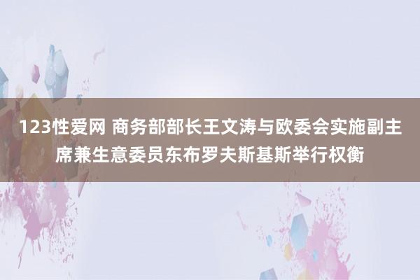 123性爱网 商务部部长王文涛与欧委会实施副主席兼生意委员东布罗夫斯基斯举行权衡