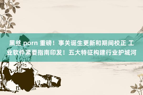 黑丝 porn 重磅！事关诞生更新和期间校正 工业软件紧要指南印发！五大特征构建行业护城河