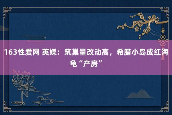 163性爱网 英媒：筑巢量改动高，希腊小岛成红海龟“产房”