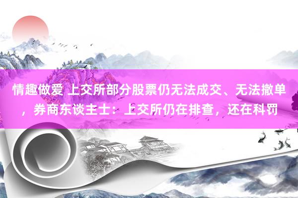 情趣做爱 上交所部分股票仍无法成交、无法撤单，券商东谈主士：上交所仍在排查，还在科罚