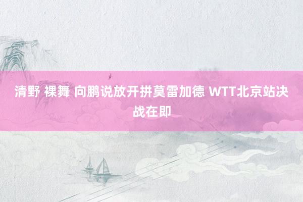 清野 裸舞 向鹏说放开拼莫雷加德 WTT北京站决战在即