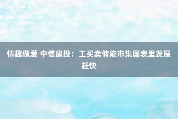 情趣做爱 中信建投：工买卖储能市集国表里发展赶快