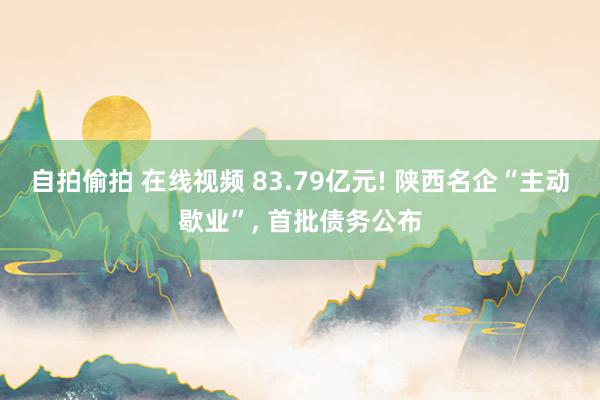 自拍偷拍 在线视频 83.79亿元! 陕西名企“主动歇业”， 首批债务公布