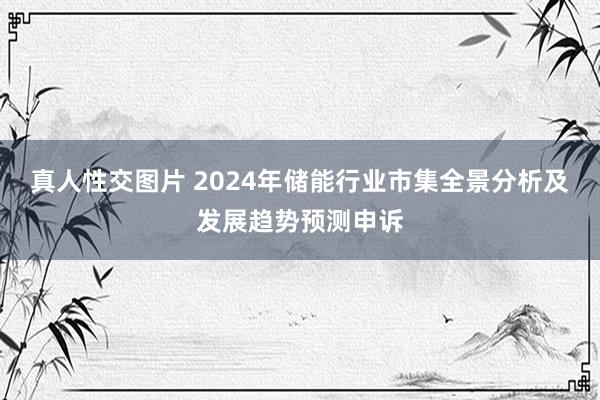 真人性交图片 2024年储能行业市集全景分析及发展趋势预测申诉