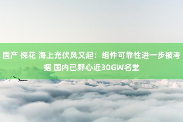 国产 探花 海上光伏风又起：组件可靠性进一步被考据 国内已野心近30GW名堂