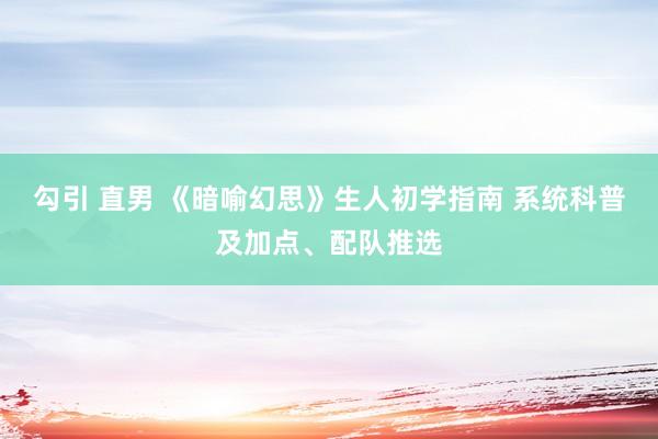 勾引 直男 《暗喻幻思》生人初学指南 系统科普及加点、配队推选