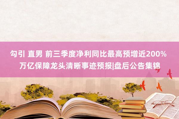 勾引 直男 前三季度净利同比最高预增近200% 万亿保障龙头清晰事迹预报|盘后公告集锦