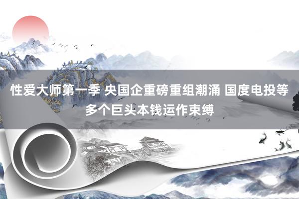 性爱大师第一季 央国企重磅重组潮涌 国度电投等多个巨头本钱运作束缚