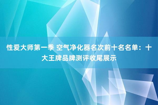 性爱大师第一季 空气净化器名次前十名名单：十大王牌品牌测评收尾展示