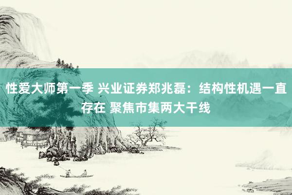 性爱大师第一季 兴业证券郑兆磊：结构性机遇一直存在 聚焦市集两大干线