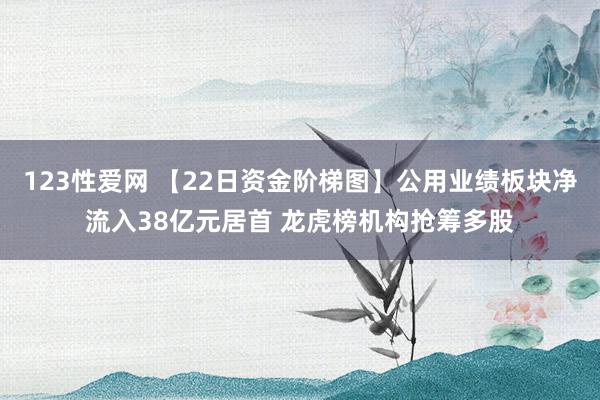 123性爱网 【22日资金阶梯图】公用业绩板块净流入38亿元居首 龙虎榜机构抢筹多股