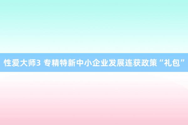 性爱大师3 专精特新中小企业发展连获政策“礼包”