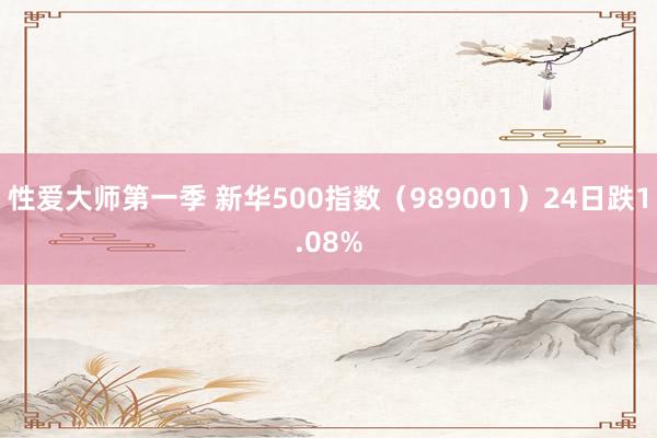 性爱大师第一季 新华500指数（989001）24日跌1.08%