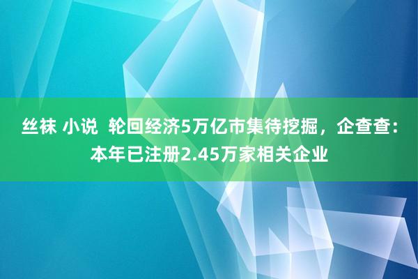 丝袜 小说  轮回经济5万亿市集待挖掘，企查查：本年已注册2.45万家相关企业