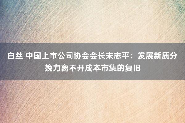 白丝 中国上市公司协会会长宋志平：发展新质分娩力离不开成本市集的复旧