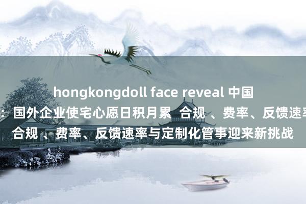 hongkongdoll face reveal 中国跨境支付产物“出海”探访：国外企业使宅心愿日积月累  合规 、费率、反馈速率与定制化管事迎来新挑战