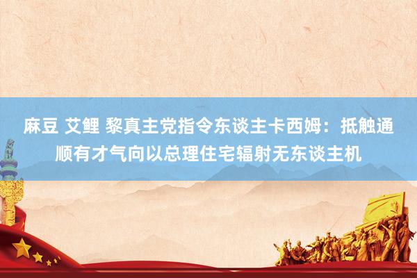 麻豆 艾鲤 黎真主党指令东谈主卡西姆：抵触通顺有才气向以总理住宅辐射无东谈主机