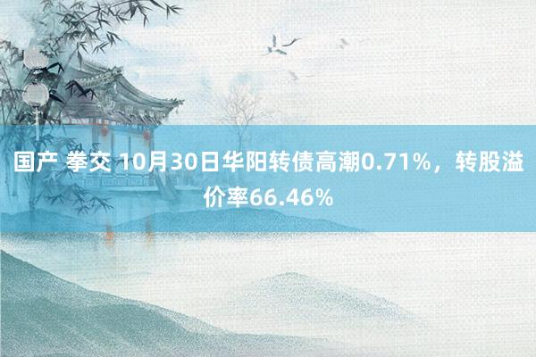 国产 拳交 10月30日华阳转债高潮0.71%，转股溢价率66.46%