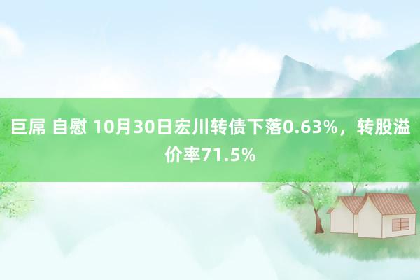 巨屌 自慰 10月30日宏川转债下落0.63%，转股溢价率71.5%