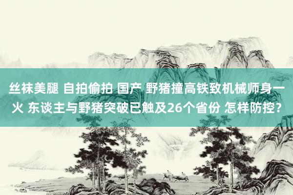 丝袜美腿 自拍偷拍 国产 野猪撞高铁致机械师身一火 东谈主与野猪突破已触及26个省份 怎样防控？