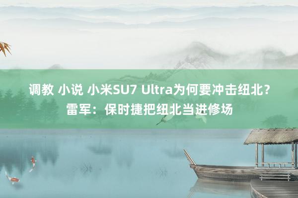 调教 小说 小米SU7 Ultra为何要冲击纽北？雷军：保时捷把纽北当进修场