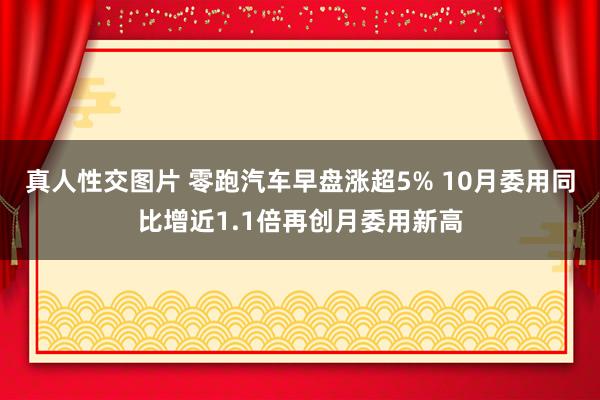 真人性交图片 零跑汽车早盘涨超5% 10月委用同比增近1.1倍再创月委用新高