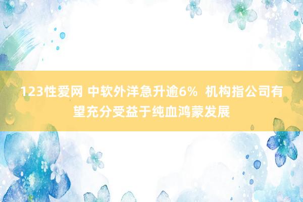 123性爱网 中软外洋急升逾6%  机构指公司有望充分受益于纯血鸿蒙发展