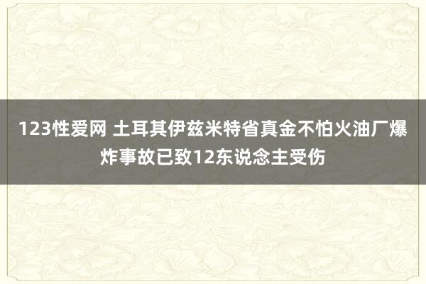 123性爱网 土耳其伊兹米特省真金不怕火油厂爆炸事故已致12东说念主受伤