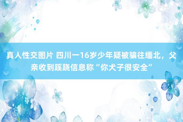 真人性交图片 四川一16岁少年疑被骗往缅北，父亲收到蹊跷信息称“你犬子很安全”