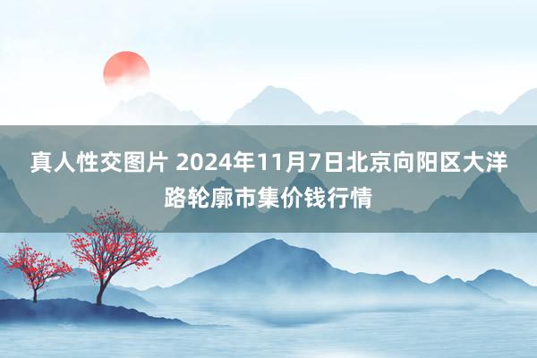 真人性交图片 2024年11月7日北京向阳区大洋路轮廓市集价钱行情