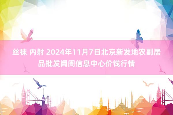 丝袜 内射 2024年11月7日北京新发地农副居品批发阛阓信息中心价钱行情