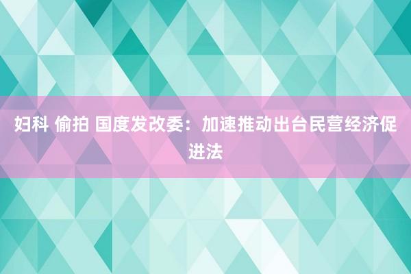 妇科 偷拍 国度发改委：加速推动出台民营经济促进法