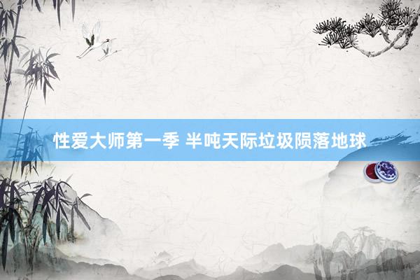 性爱大师第一季 半吨天际垃圾陨落地球