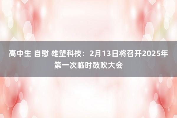 高中生 自慰 雄塑科技：2月13日将召开2025年第一次临时鼓吹大会