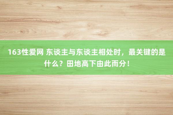 163性爱网 东谈主与东谈主相处时，最关键的是什么？田地高下由此而分！